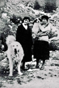 Storia del Cane da Montagna dei Pirenei