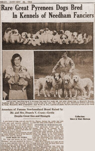 Storia del Cane da Montagna dei Pirenei
