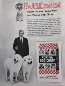 Storia del Cane da Montagna dei Pirenei