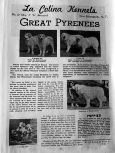 Storia del Cane da Montagna dei Pirenei