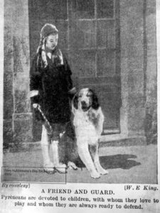 Storia del Cane da Montagna dei Pirenei