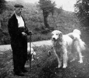 Storia del Cane da Montagna dei Pirenei