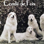Storia Cane da Montagna dei Pirenei