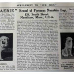Storia Cane da Montagna dei Pirenei