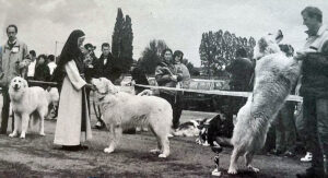 Storia del Cane da Montagna dei Pirenei