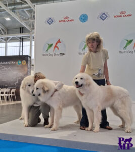 ENCI Winner Bologna 2026